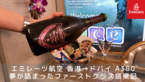 ドンペリニョン　2013 エミレーツ航空ファーストクラス　ギフト ドンペリニョン 2013 エミレーツ航空ファーストクラス ギフト ワイン
