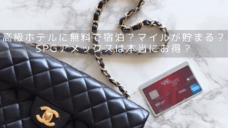 【SPGアメックス】特典やポイントで高級ホテルが無料？マイルも貯まる？本当にお得？カード保有者がリアルに分析！