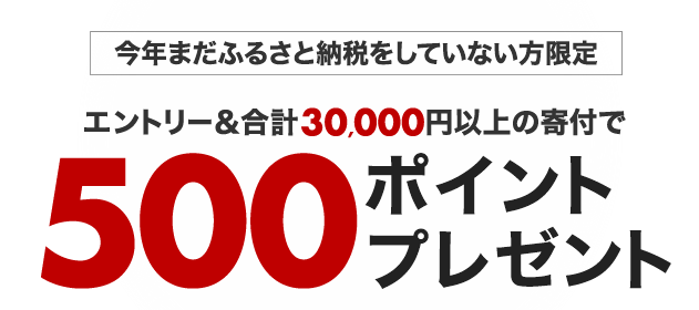 楽天ふるさと納税ポイントプレゼント