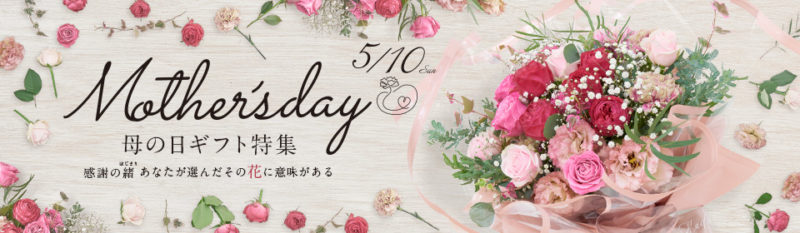 楽天リーベイツ1日限定10%還元