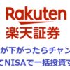 つみたてNISA一括購入