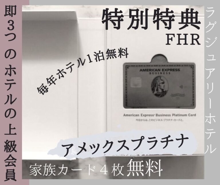 iPhone15pro 携帯カバー　ZEROアメックス限定品 iPhone15pro 携帯カバー ZEROアメックス限定品（Amazon.co.jp