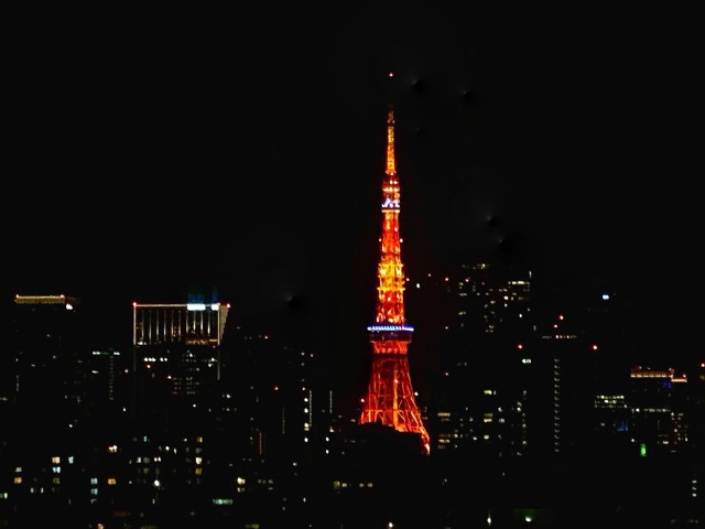 プリンスさくらタワー東京 東京タワービュー