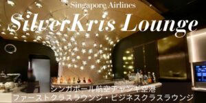 ス*ー様 シンガポール航空 ファーストクラス限定 シルバーインゴット ピサの斜塔 シンガポール航空シルバークリス ファーストクラスラウンジとビジネス