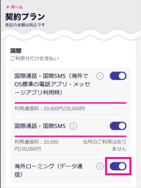 楽天モバイル 機内ローミング設定